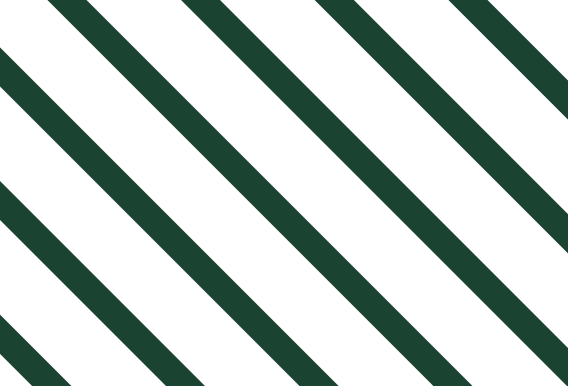 Plug Into the Hyperliquid Ecosystem visual